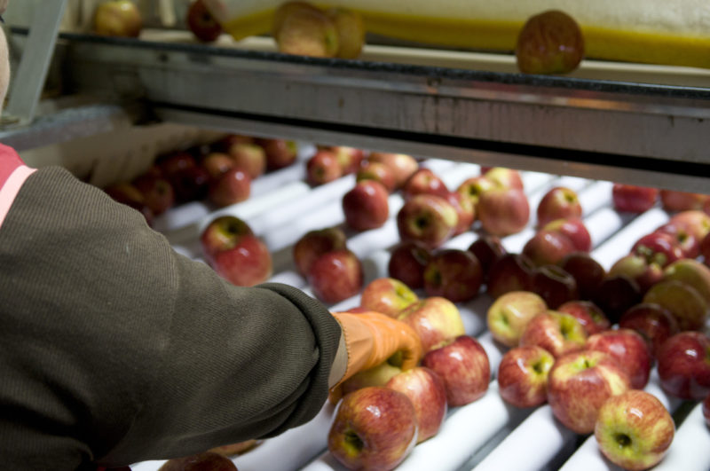 Exportaciones: nuevos productos obtienen sello de "Alimentos Argentinos"