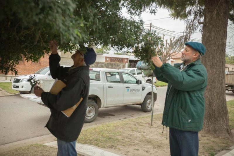 Senasa: Productores citrícolas en alerta por los despidos