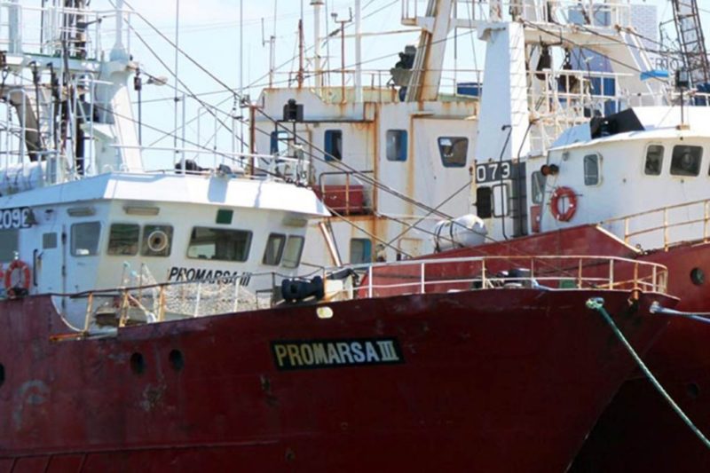 La alimenticia Red Chamber reemplazará su flota «varada» en Chubut