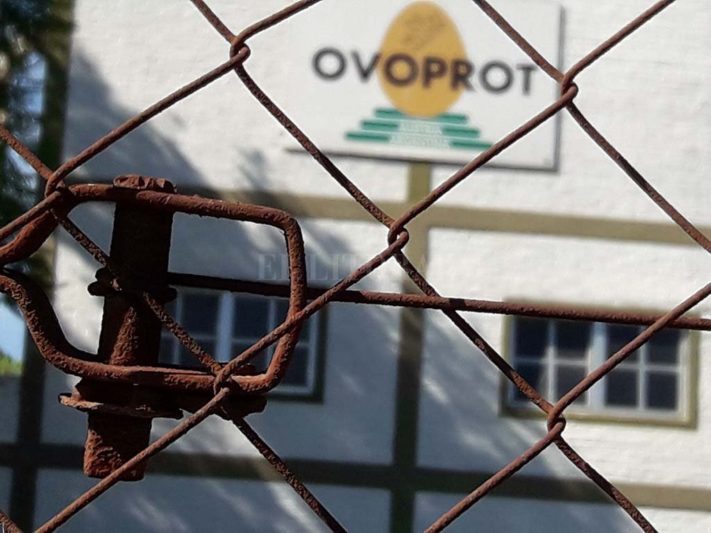 Investigarán los balances de Ovoprot tras la quiebra