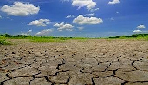 Alimentación: nuevos problemas en el horizonte