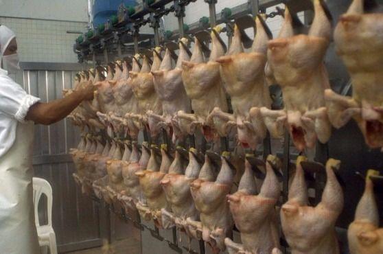 Consumo interno: Récord para la producción de pollos