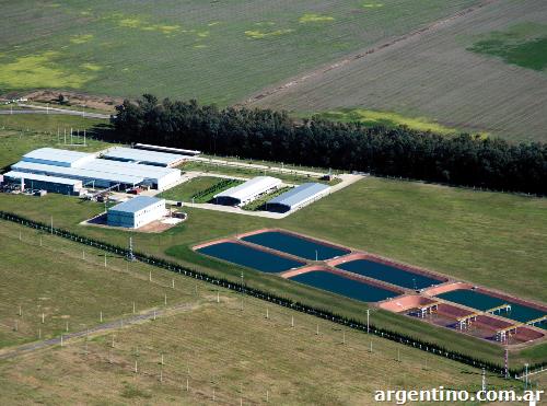 Frigorífico Mark: En medio de aprietes hay reunión en La Plata para definir la situación