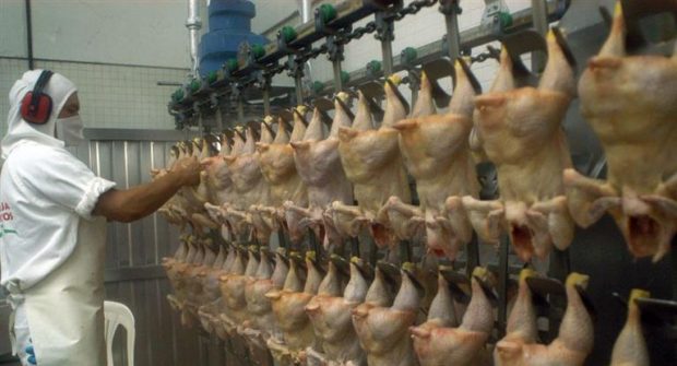 Alimentación cierra paritarias del 20% para el convenio avícola y rompe el techo del gobierno