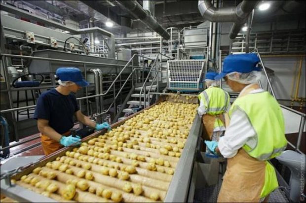 Agroindustria: las papas prefritas se suman al sello «Alimentos Argentinos»