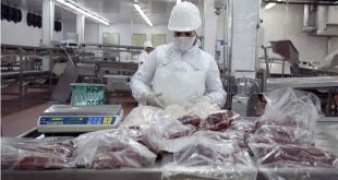 alimentos argentinos agroindustria carnes