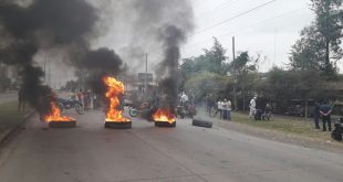 molino cañuelas tucuman despidos