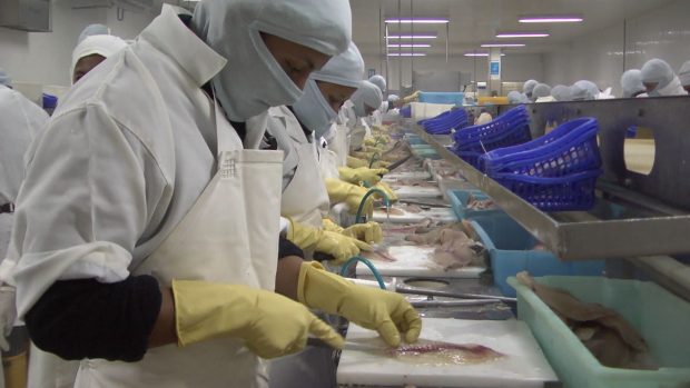 Santa Cruz: STIA contra Food Partners por falta de garantías laborales