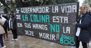 la colina despidos mendoza