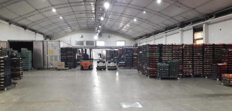 empleo alimentacion