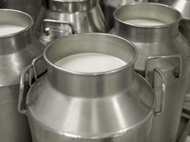 Una histórica marca láctea vuelve al mercado argentino
