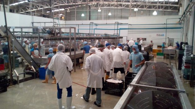 Mar del Plata: STIA denunció despido «unilateral» en alimenticia Surano
