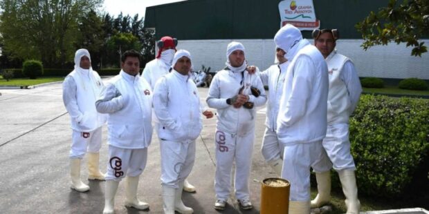 El conflicto en Granja Tres Arroyos pone al desnudo la crisis económica que esconde el modelo libertario.