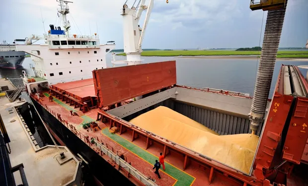 Récord de exportaciones agroindustriales.