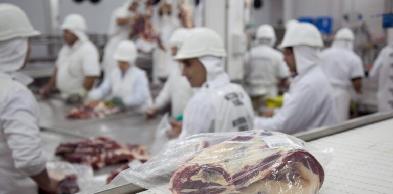 carne_japon