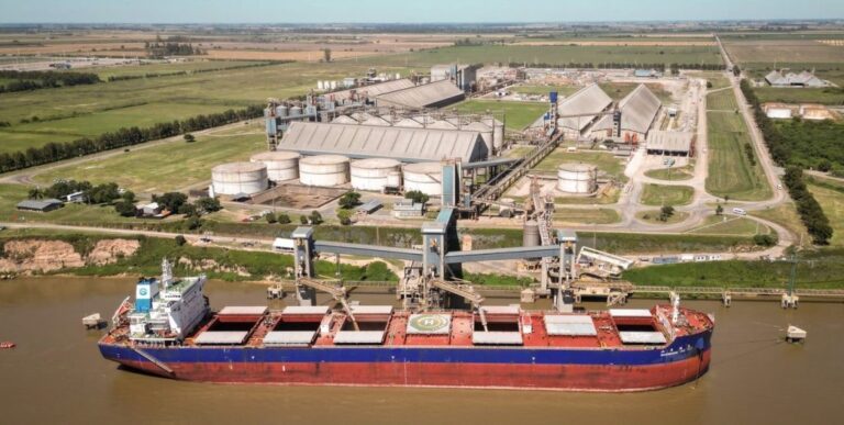 exportaciones soja