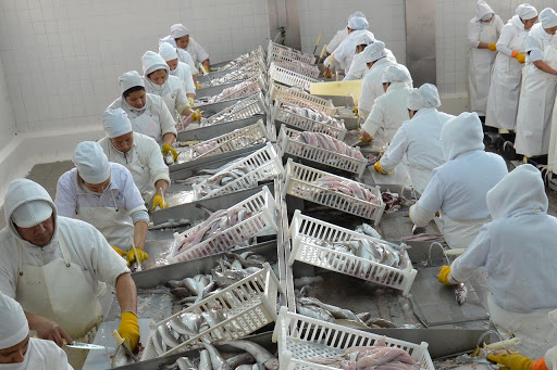 La pesca creció 300,2% interanual en julio, impulsada por los crustáceos y una baja base de comparación derivada del conflicto de 2025.