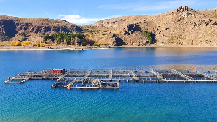 Establecimiento de piscicultura ubicado en el río Limay.