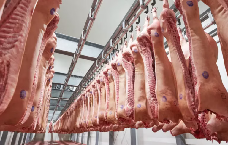 La exportación de carne sigue en alza mientras el consumo interno se desploma.
