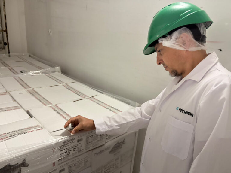 Personal del SENASA controla cajas de pacú en la planta de Puerto Las Palmas