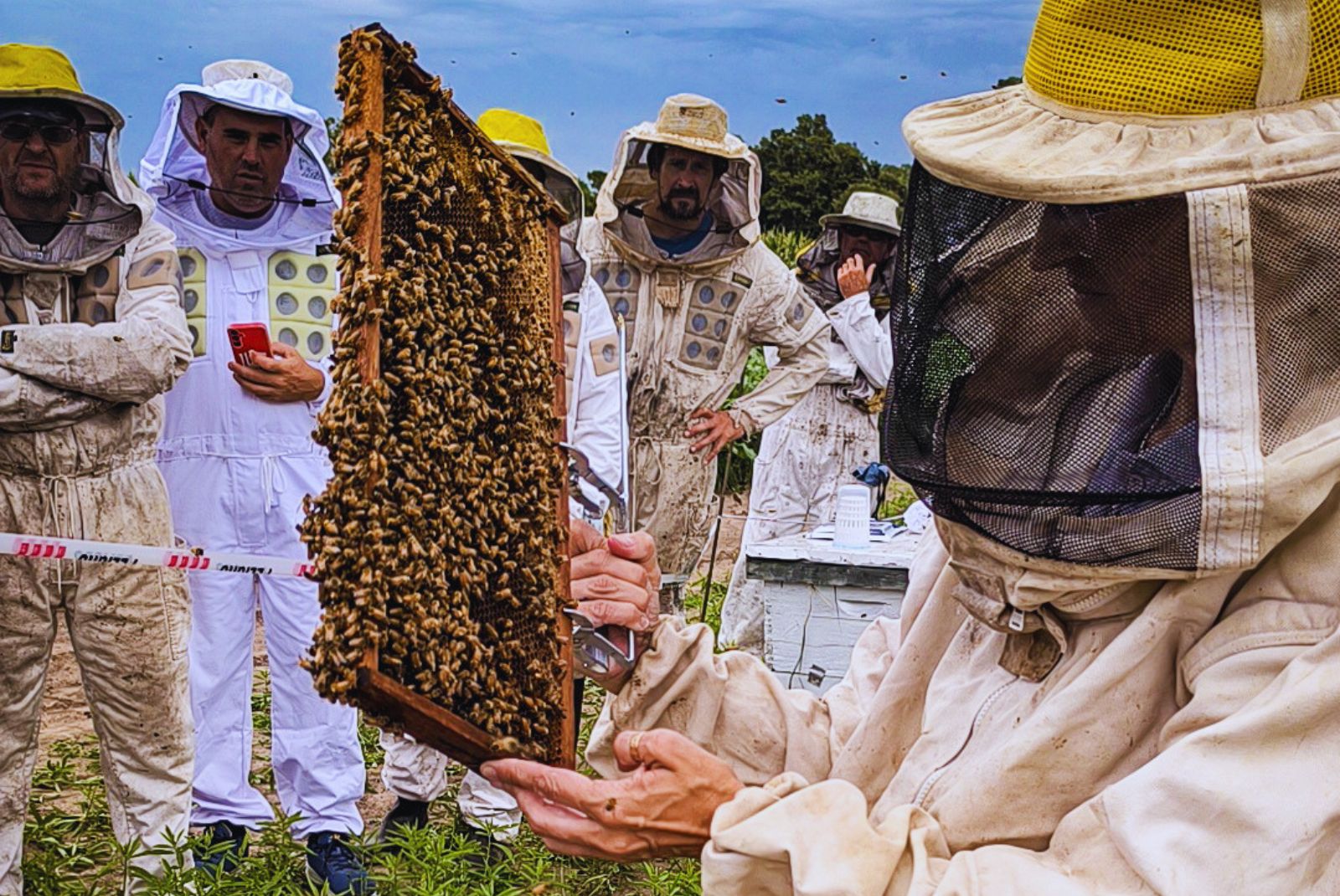 Apicultores con trajes de protección observan un cuadro cubierto de abejas.